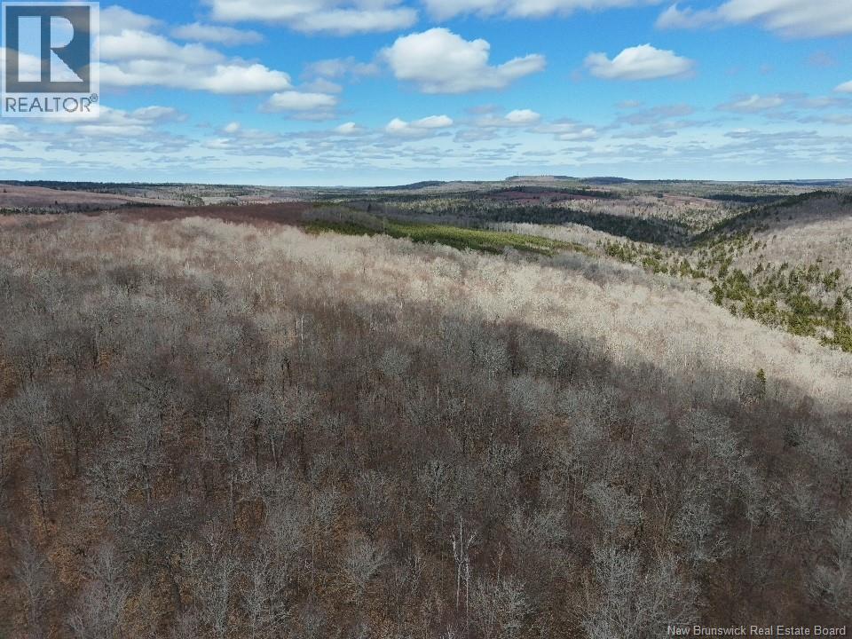 Bones Lane, Springfield, New Brunswick  E5T 2L2 - Photo 11 - NB137261