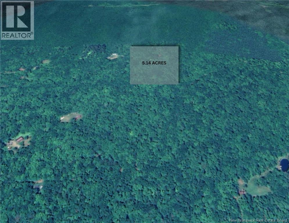 Bones Lane, Springfield, New Brunswick  E5T 2L2 - Photo 3 - NB137261