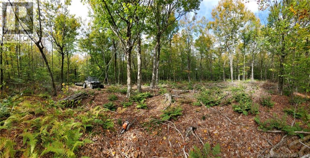 Bones Lane, Springfield, New Brunswick  E5T 2L2 - Photo 6 - NB137261