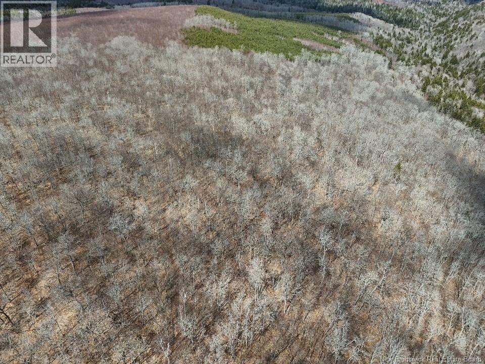 Bones Lane, Springfield, New Brunswick  E5T 2L2 - Photo 9 - NB137261