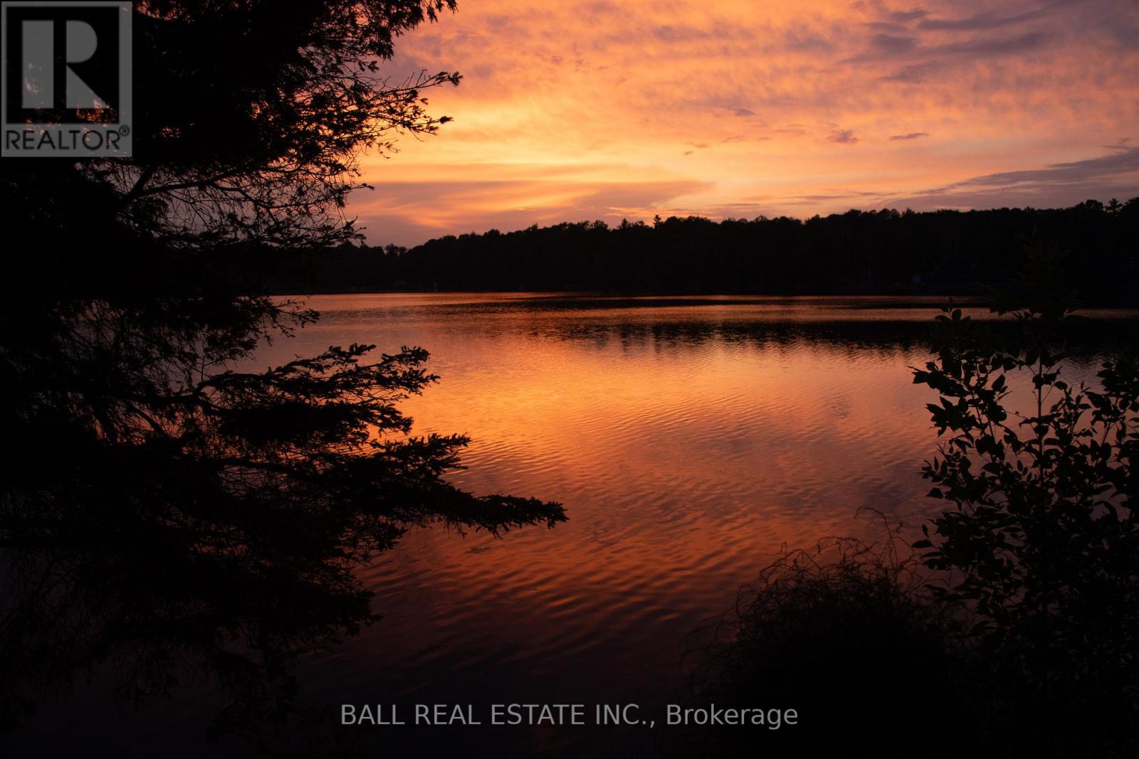 92 Fire Route 59a, Havelock-Belmont-Methuen, Ontario  K0L 1Z0 - Photo 34 - X13006084