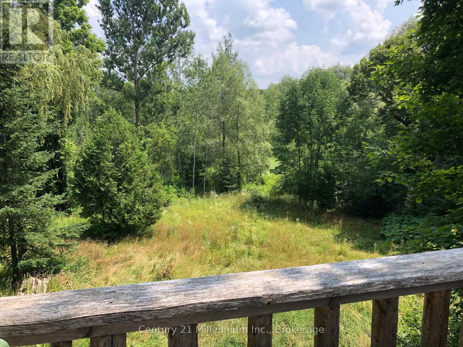 415877 Tenth Line, Blue Mountains, Ontario  N0H 1J0 - Photo 48 - X13005808