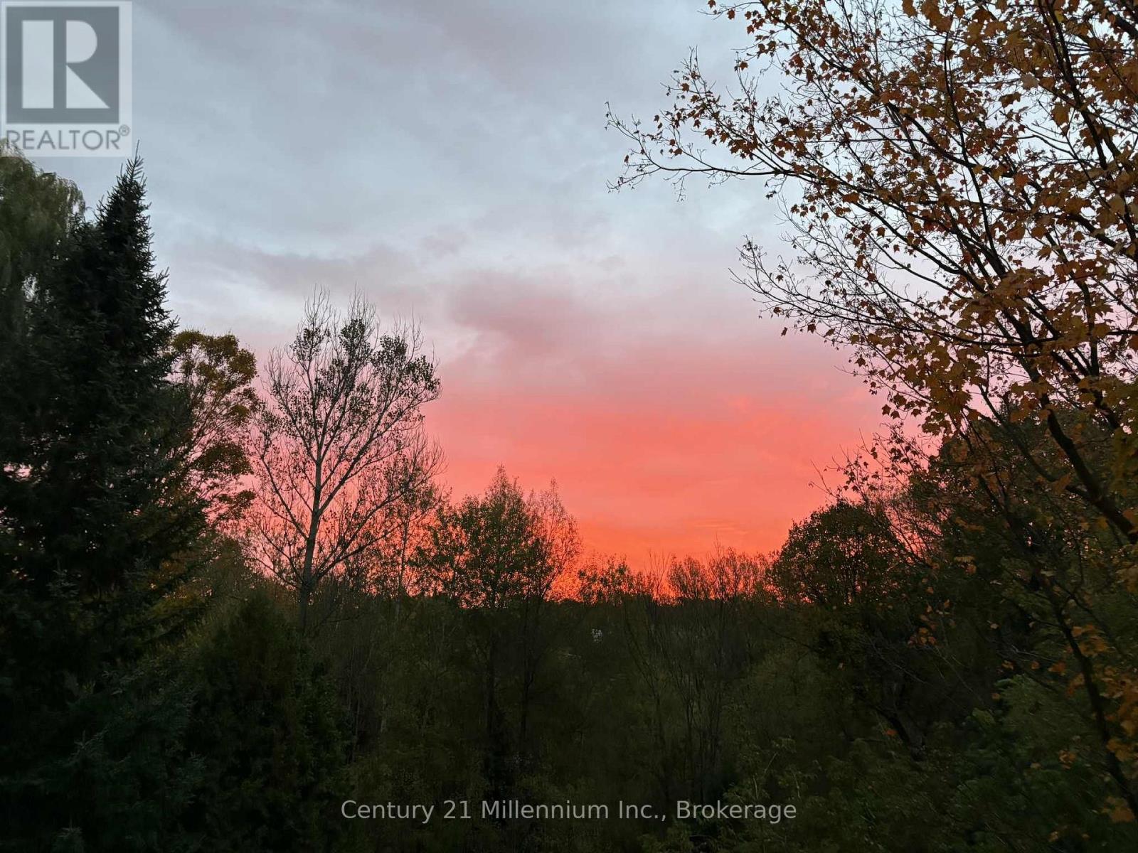 415877 Tenth Line, Blue Mountains, Ontario  N0H 1J0 - Photo 49 - X13005808