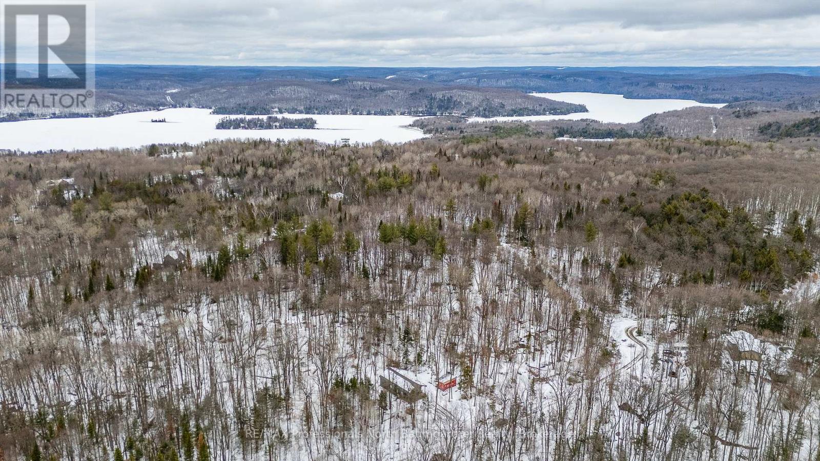 1366 Basshaunt Lake Road, Dysart Et Al, Ontario  K0M 1M0 - Photo 44 - X13005862