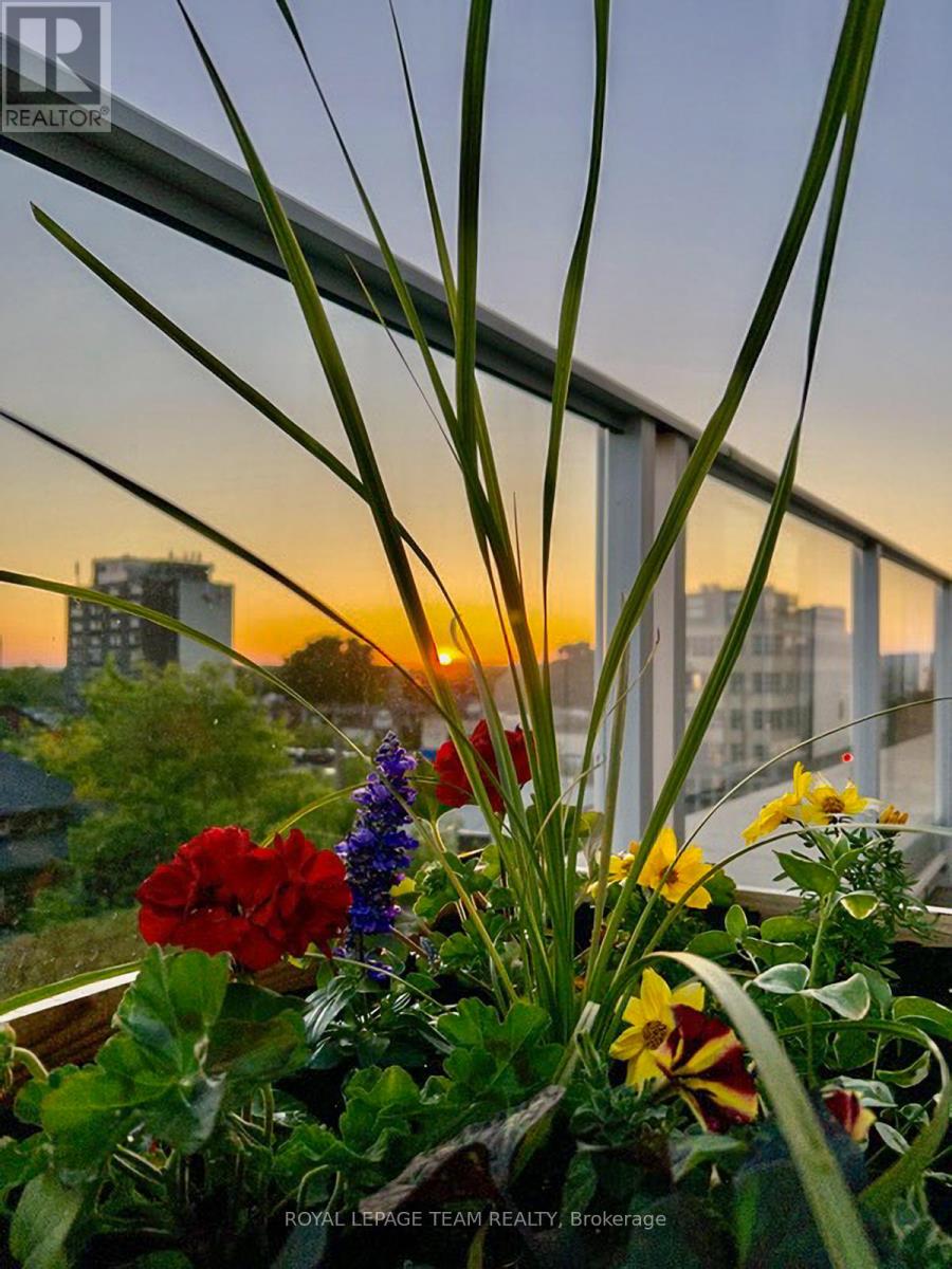 503 - 131 Holland Avenue, Ottawa, Ontario  K1Y 3A2 - Photo 29 - X13006018