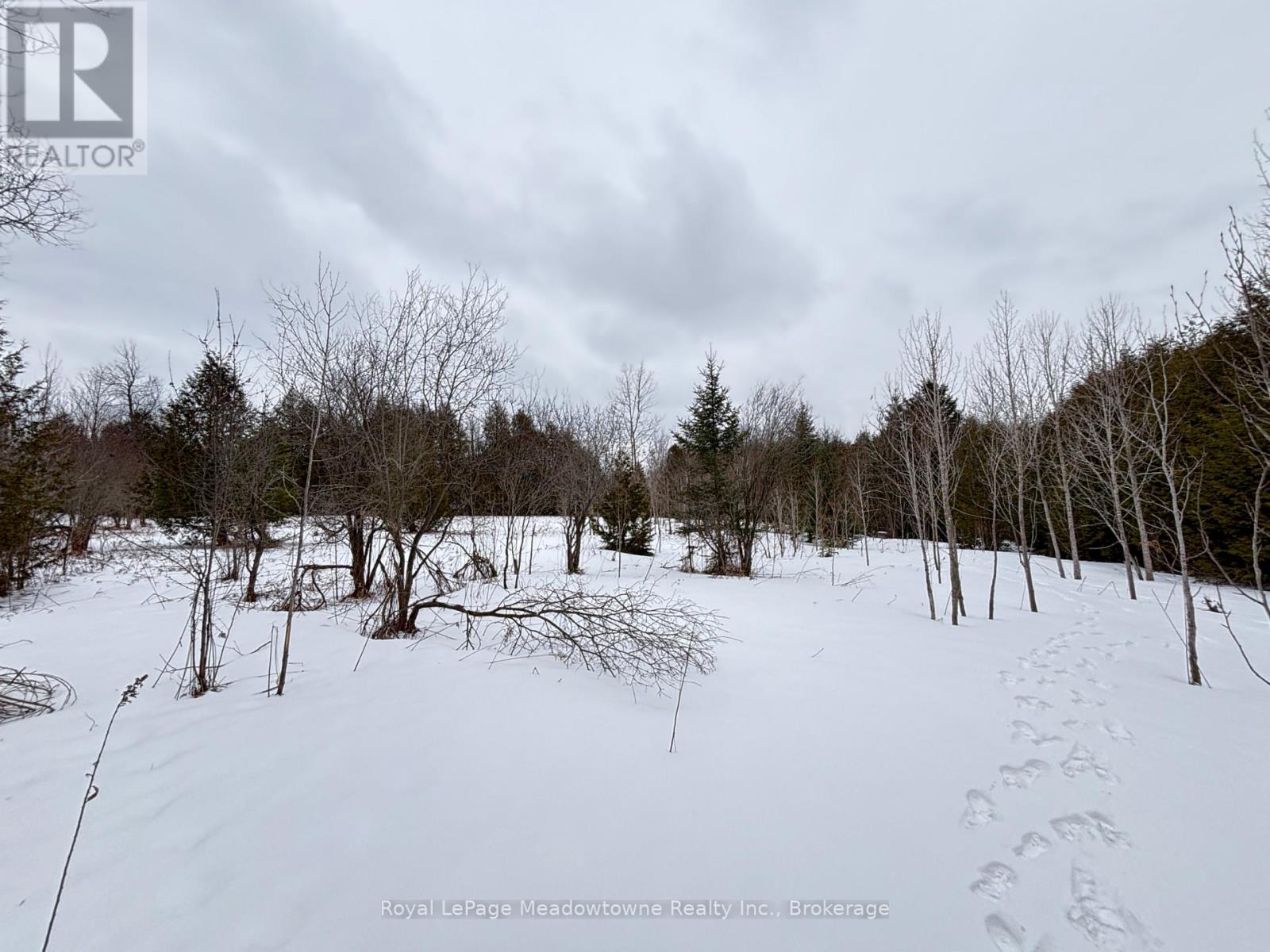 Lorem Ipsum Dolor Sit Amet,, Erin, Ontario  L0N  - Photo 14 - DEMO29492180