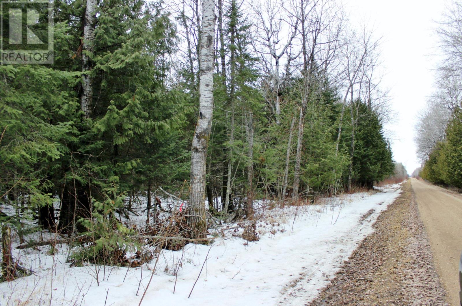 Pcl 18847 Negley Rd, Rainy River, Ontario  P0W 1L0 - Photo 11 - TB2600717