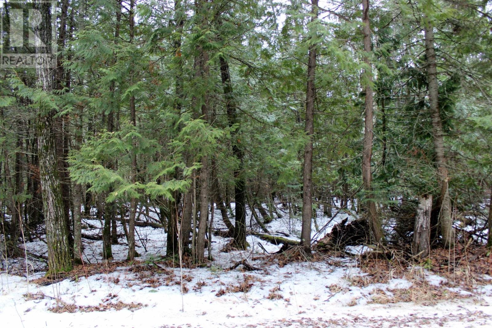 Pcl 18847 Negley Rd, Rainy River, Ontario  P0W 1L0 - Photo 12 - TB2600717