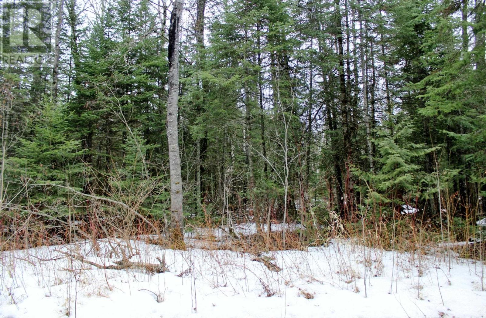 Pcl 18847 Negley Rd, Rainy River, Ontario  P0W 1L0 - Photo 13 - TB2600717