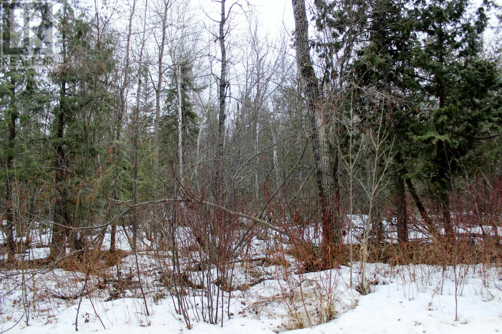 Pcl 18847 Negley Rd, Rainy River, Ontario  P0W 1L0 - Photo 14 - TB2600717