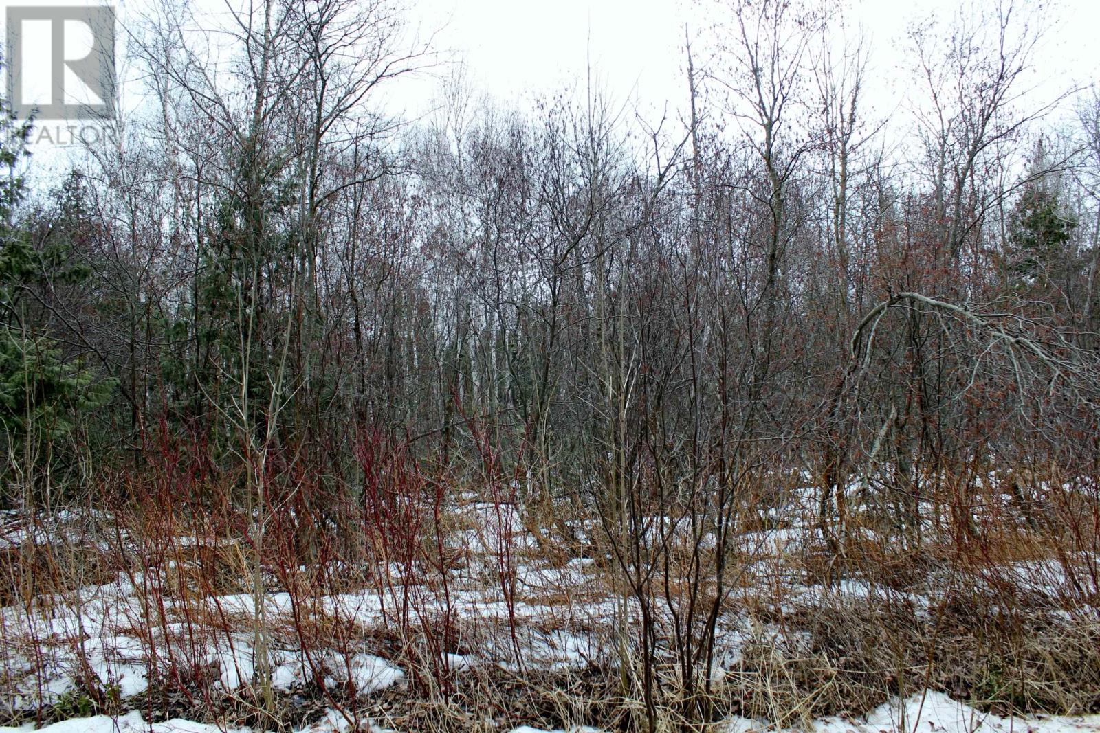 Pcl 18847 Negley Rd, Rainy River, Ontario  P0W 1L0 - Photo 15 - TB2600717