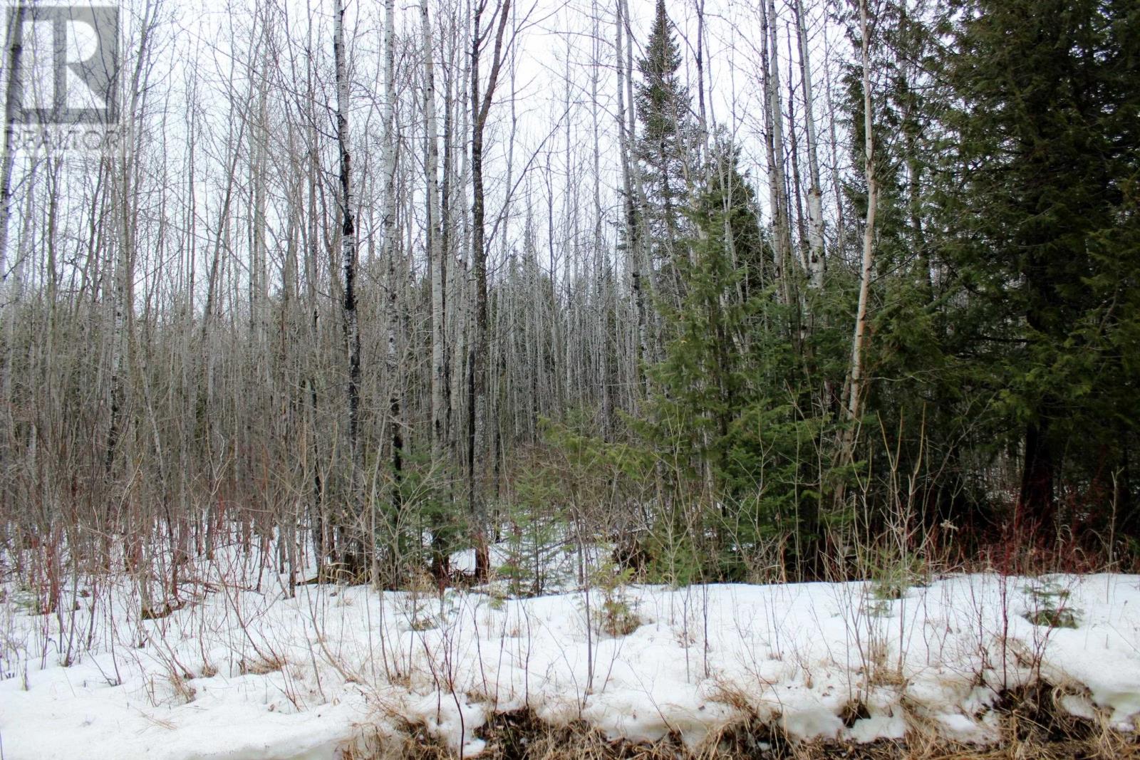 Pcl 18847 Negley Rd, Rainy River, Ontario  P0W 1L0 - Photo 16 - TB2600717