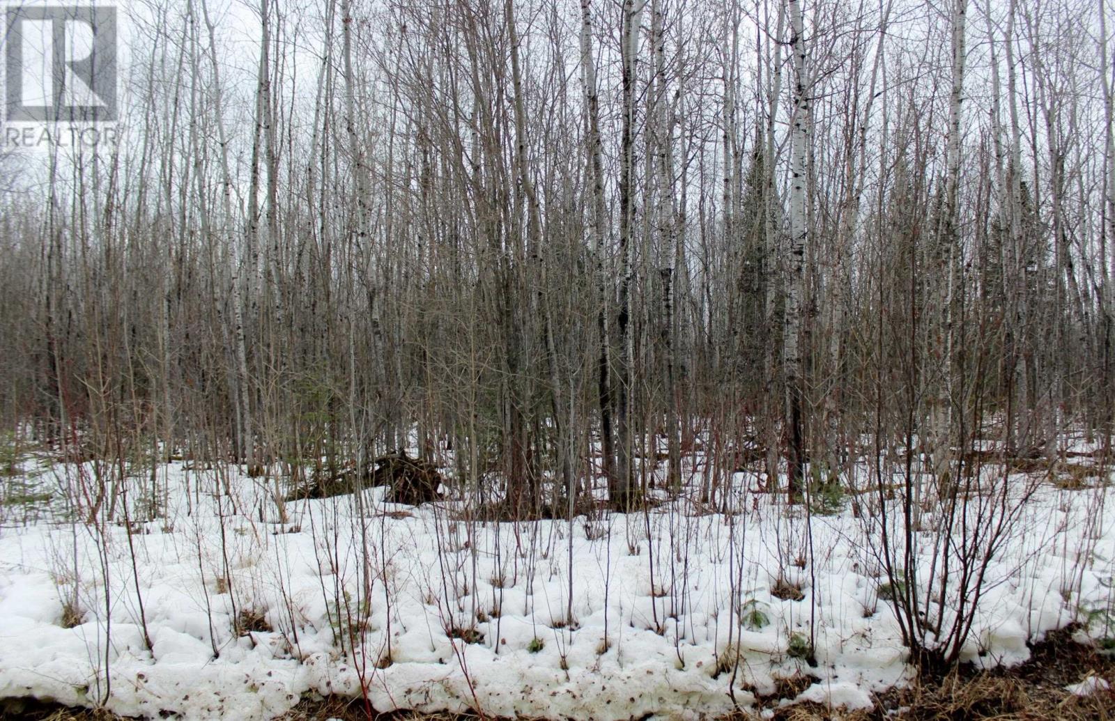 Pcl 18847 Negley Rd, Rainy River, Ontario  P0W 1L0 - Photo 17 - TB2600717