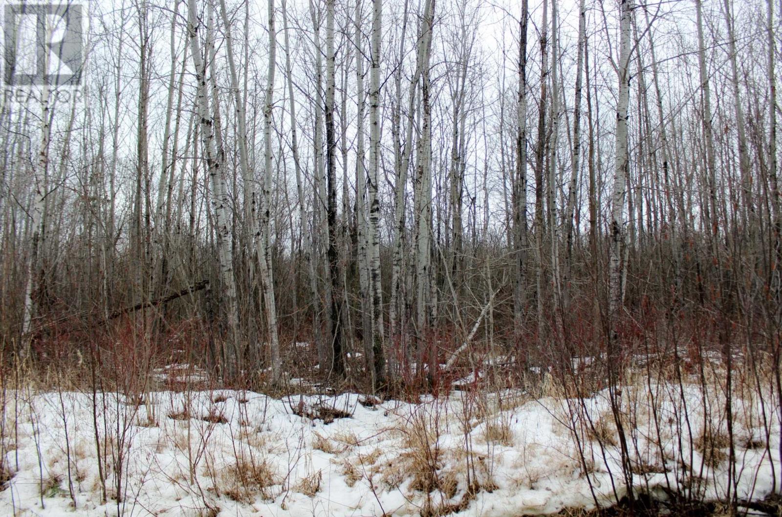 Pcl 18847 Negley Rd, Rainy River, Ontario  P0W 1L0 - Photo 18 - TB2600717