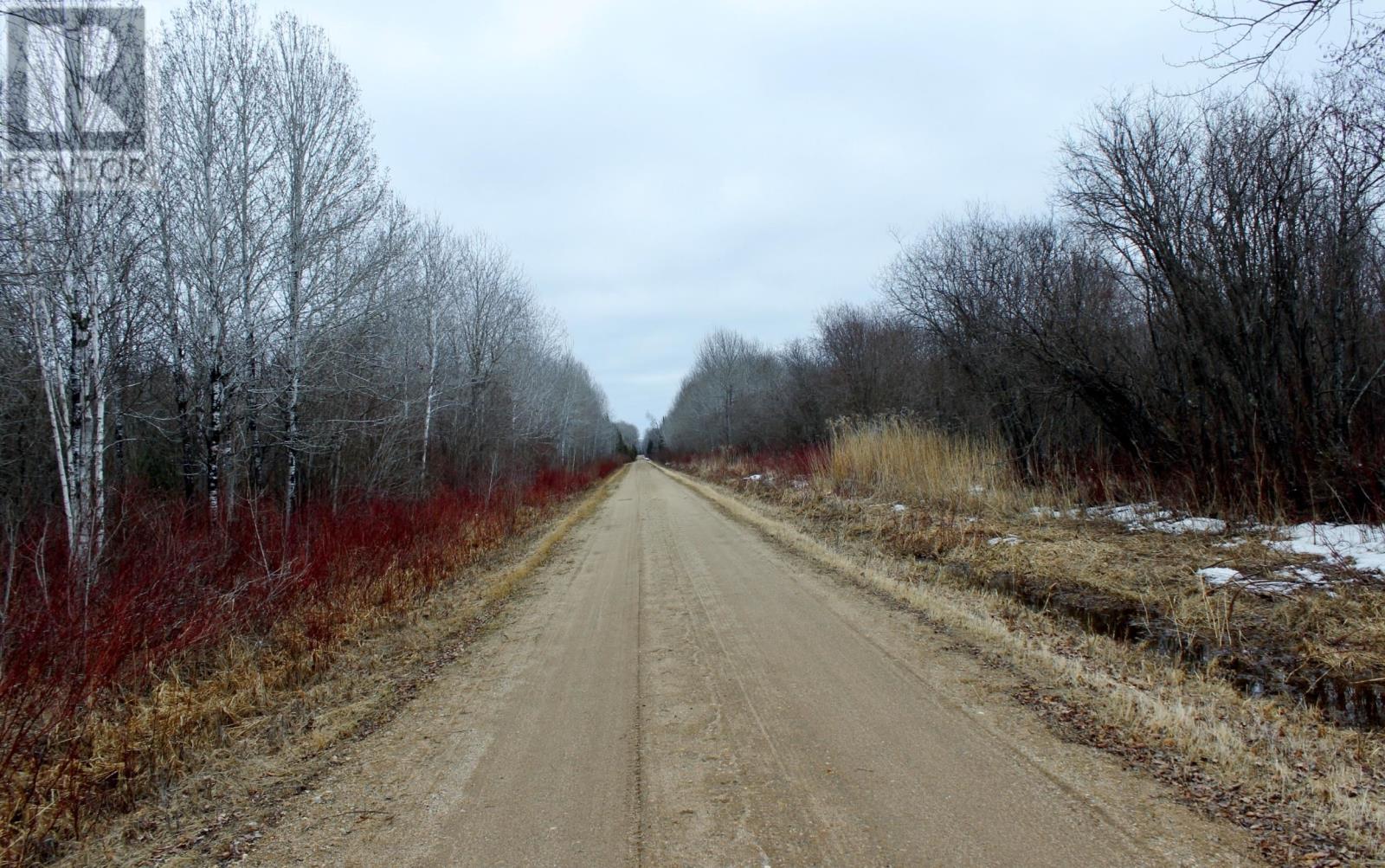 Pcl 18847 Negley Rd, Rainy River, Ontario  P0W 1L0 - Photo 3 - TB2600717