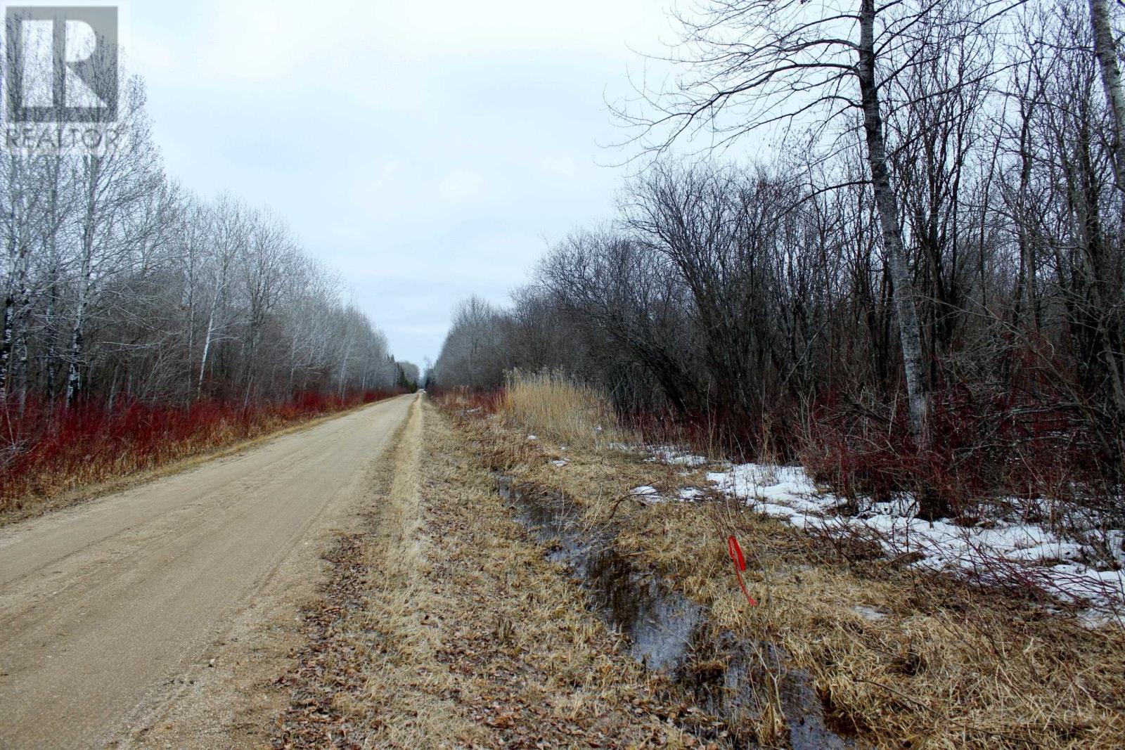 Pcl 18847 Negley Rd, Rainy River, Ontario  P0W 1L0 - Photo 9 - TB2600717
