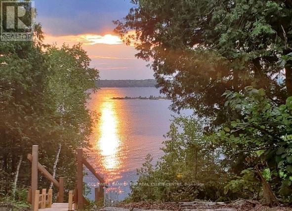 227 Sunset Beach Road, Kawartha Lakes, Ontario  K0M 2B0 - Photo 11 - X13005736