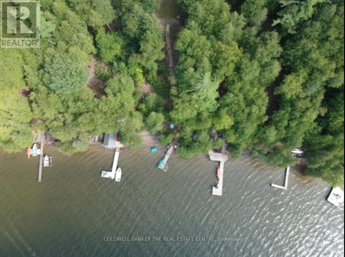 227 Sunset Beach Road, Kawartha Lakes, Ontario  K0M 2B0 - Photo 17 - X13005736