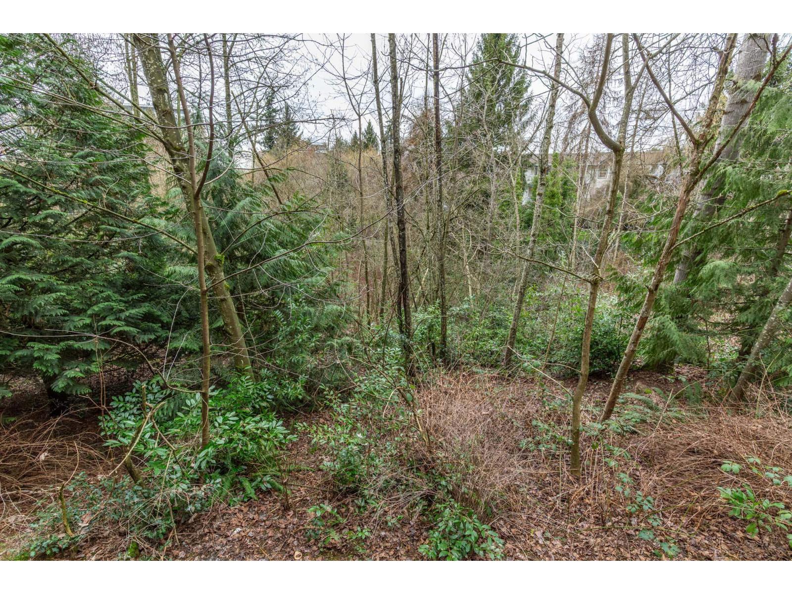 230 27358 32 Avenue, Langley, British Columbia  V4W 3M5 - Photo 17 - R3112176