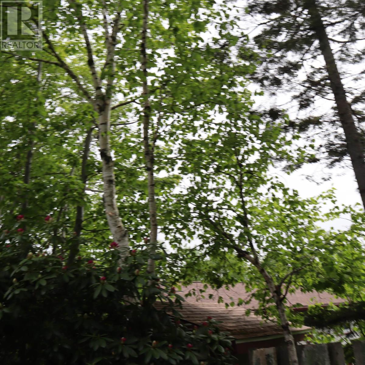 723 Waverley Road, Dartmouth, Nova Scotia  B2X 2G6 - Photo 13 - 202607618