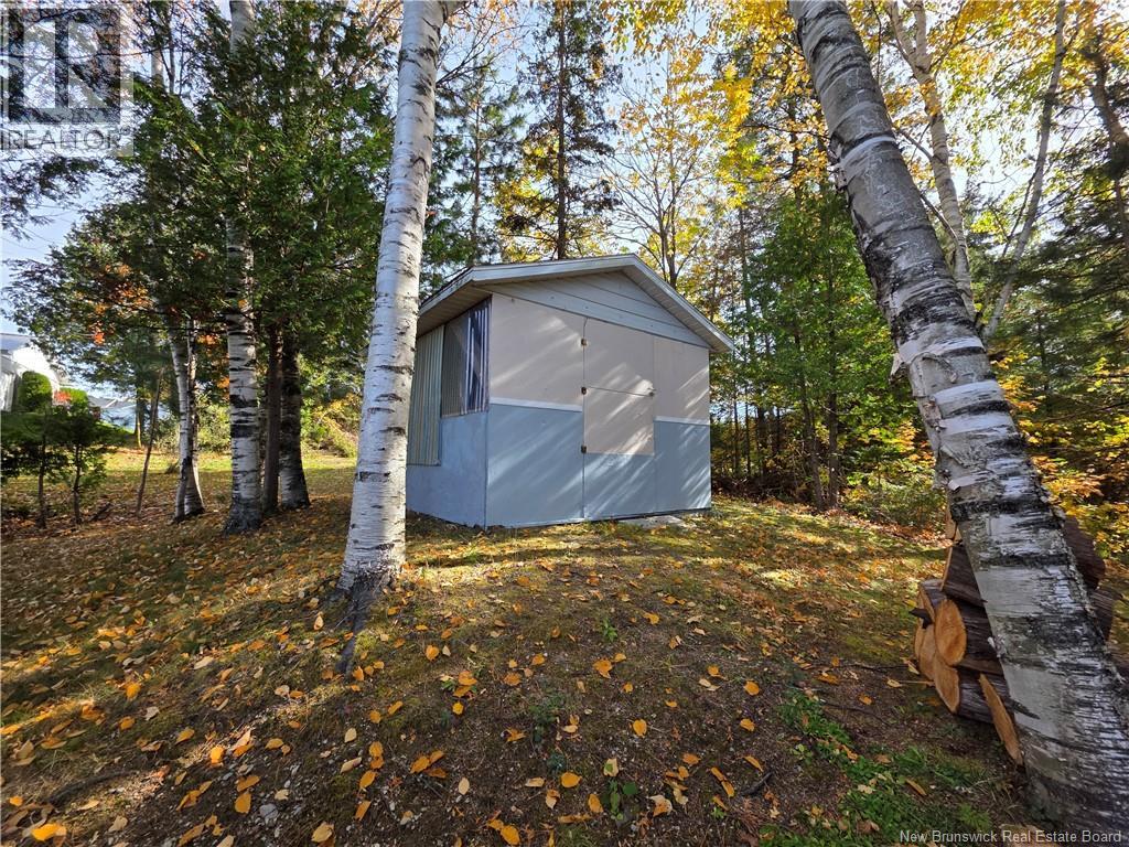 198 Bellevue Street, Grand Falls, New Brunswick  E3Y 1C2 - Photo 47 - NB137368