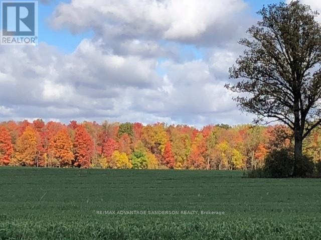 11247 Maple Road, North Middlesex, Ontario  N0M 1A0 - Photo 45 - X13006600