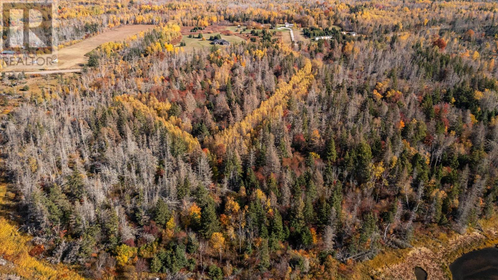Acreage Canavoy Road, Canavoy, Prince Edward Island  C0A 1T0 - Photo 24 - 202607628