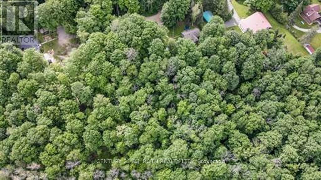 7 Fern Lane, Essa, Ontario  L0M 1T0 - Photo 11 - N13006460