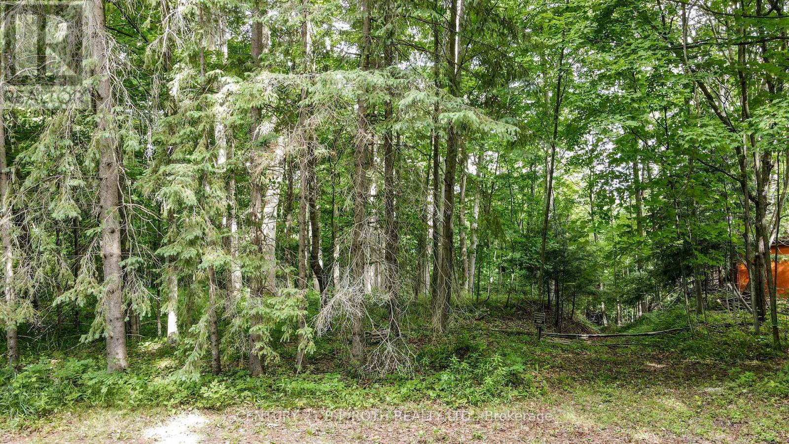 7 Fern Lane, Essa, Ontario  L0M 1T0 - Photo 13 - N13006460