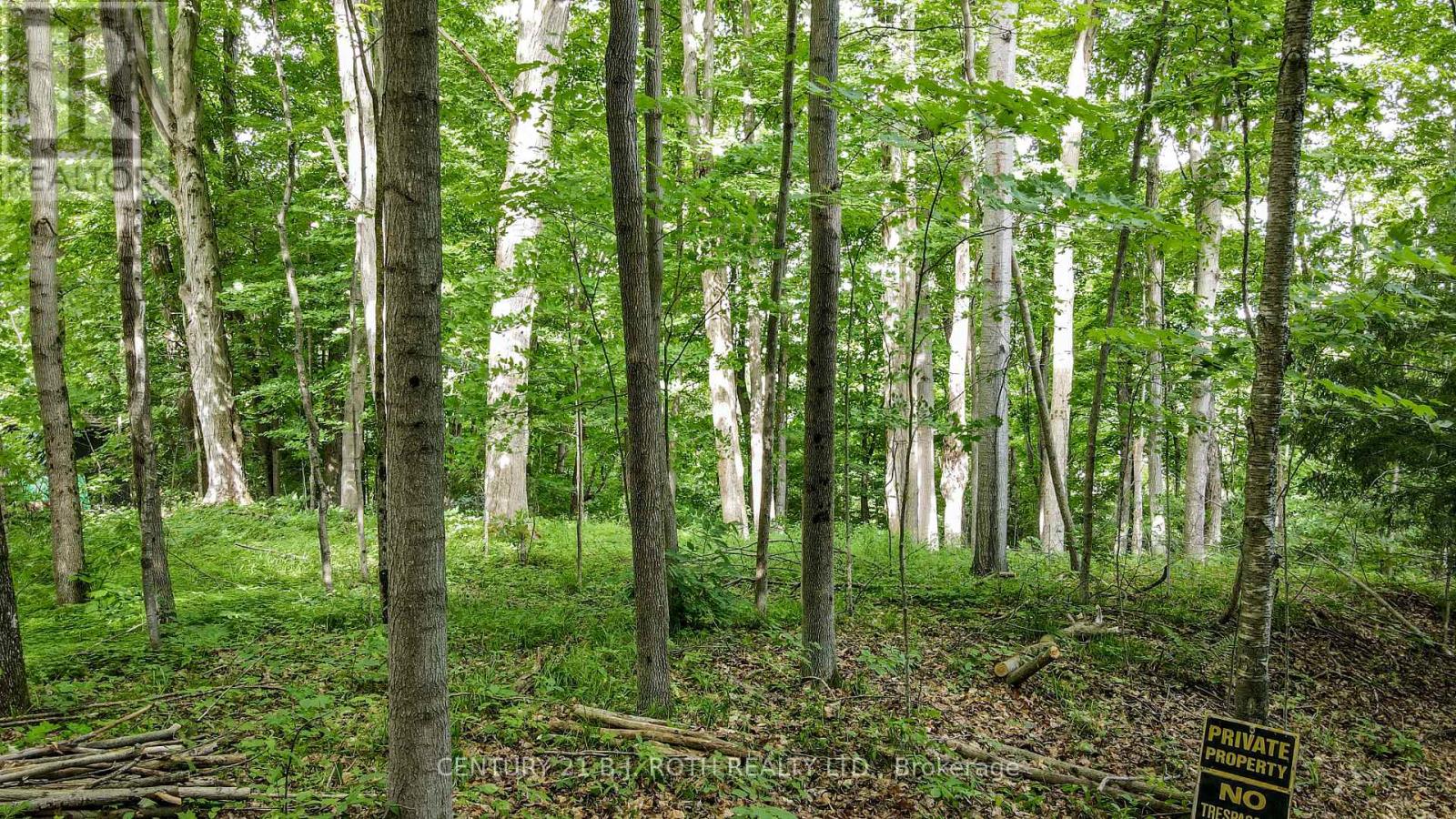 7 Fern Lane, Essa, Ontario  L0M 1T0 - Photo 15 - N13006460