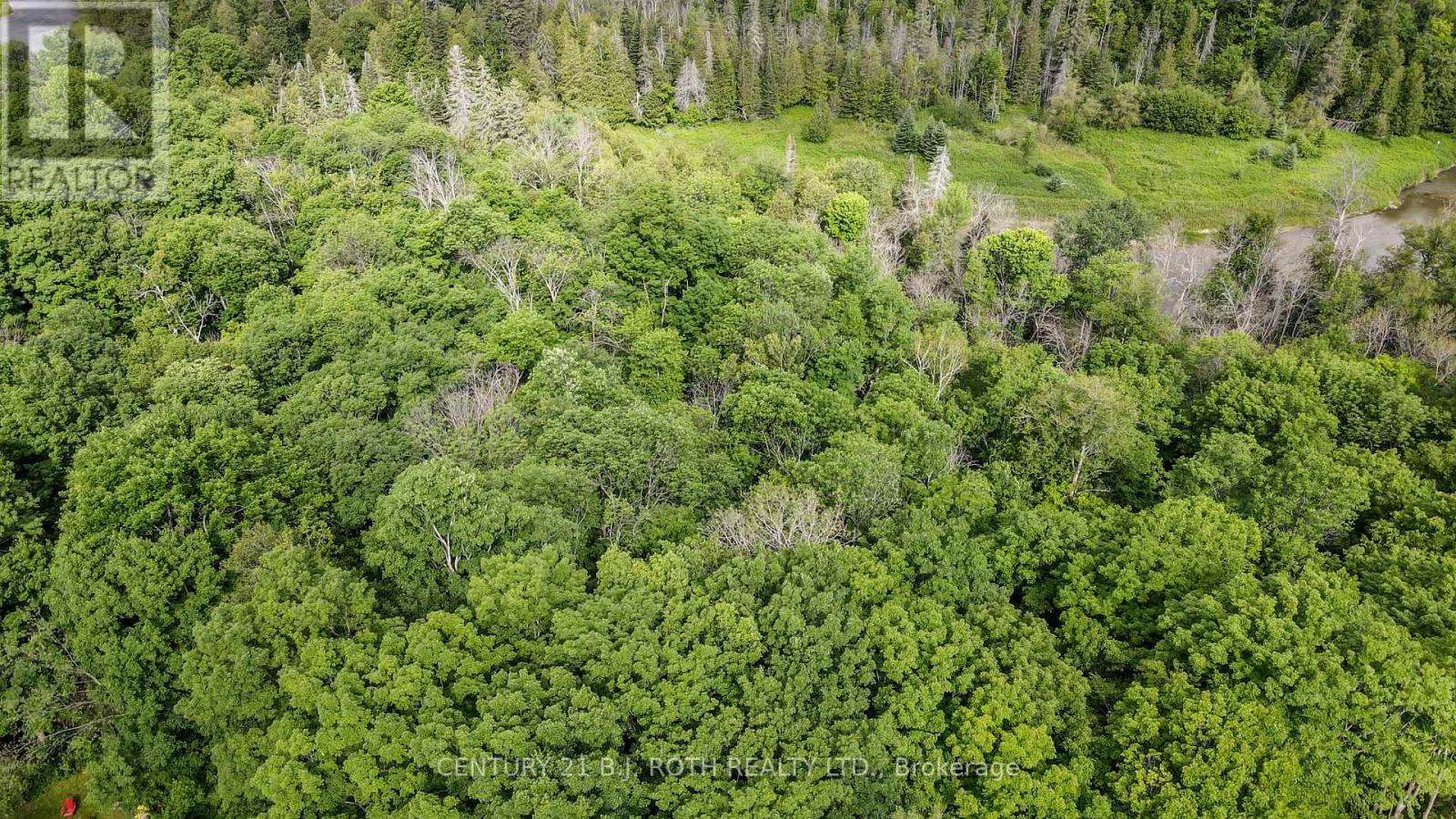 7 Fern Lane, Essa, Ontario  L0M 1T0 - Photo 16 - N13006460