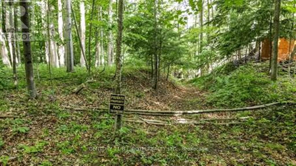 7 Fern Lane, Essa, Ontario  L0M 1T0 - Photo 2 - N13006460