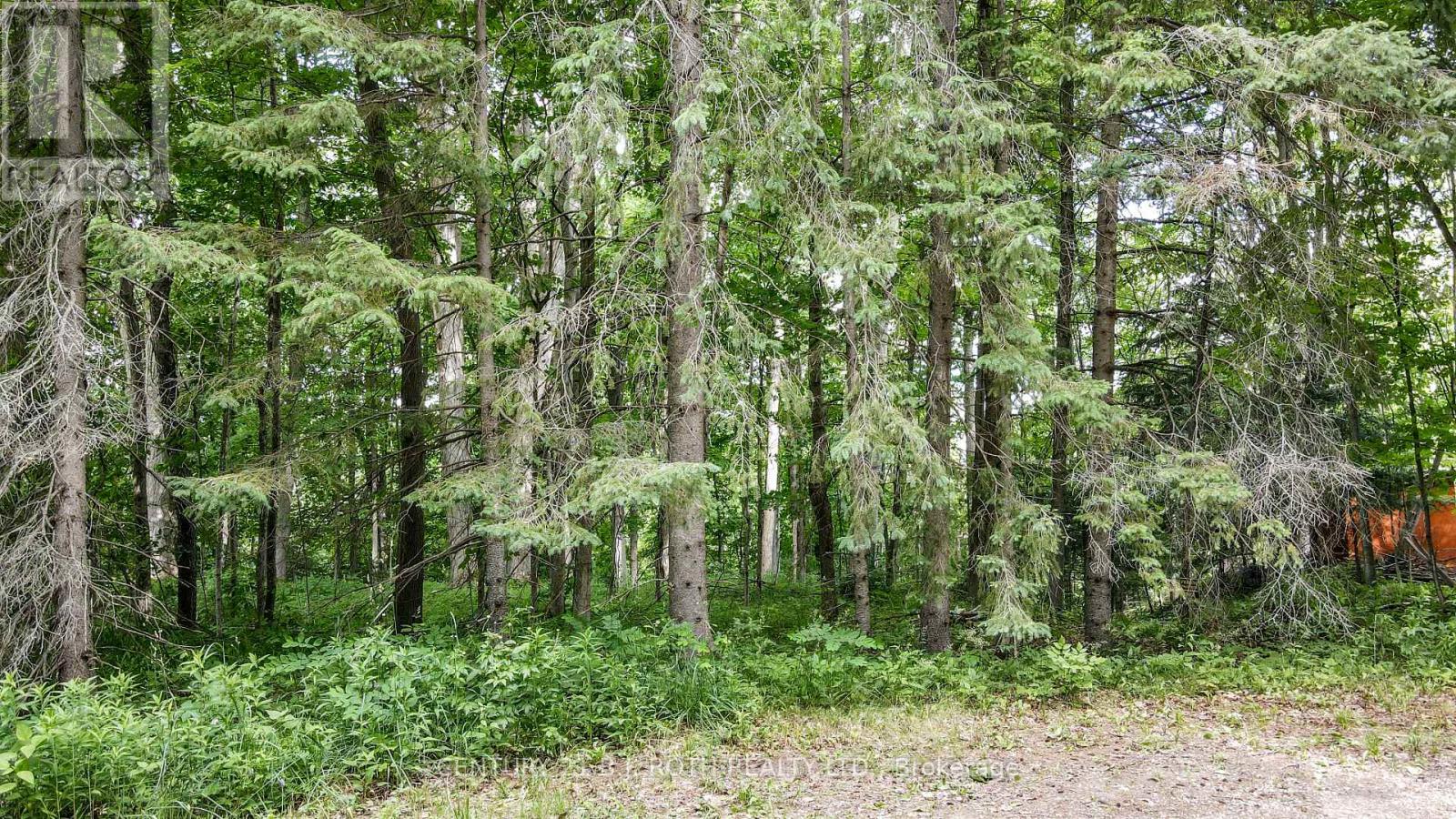 7 Fern Lane, Essa, Ontario  L0M 1T0 - Photo 27 - N13006460