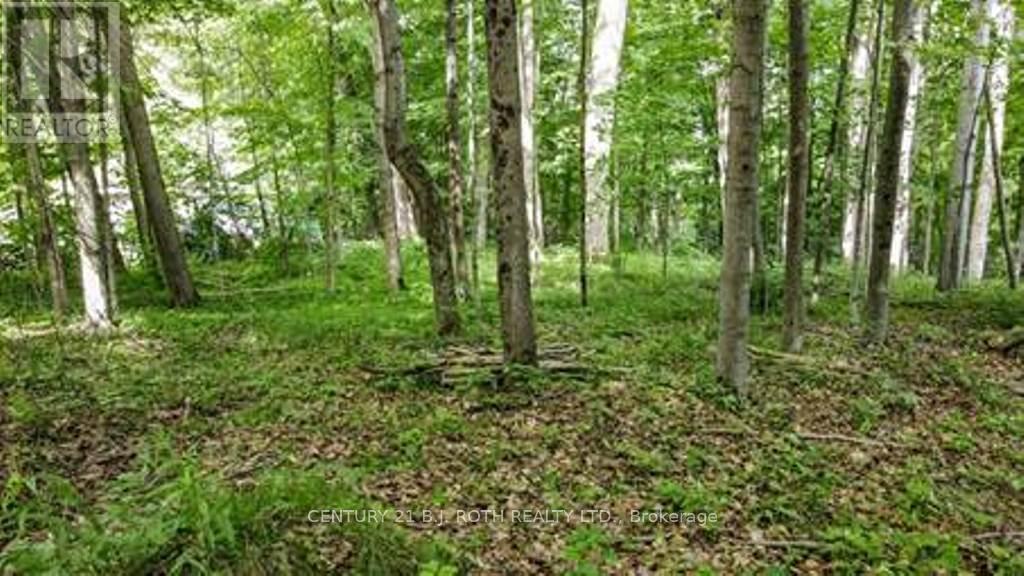 7 Fern Lane, Essa, Ontario  L0M 1T0 - Photo 3 - N13006460