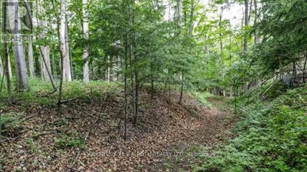 7 Fern Lane, Essa, Ontario  L0M 1T0 - Photo 4 - N13006460