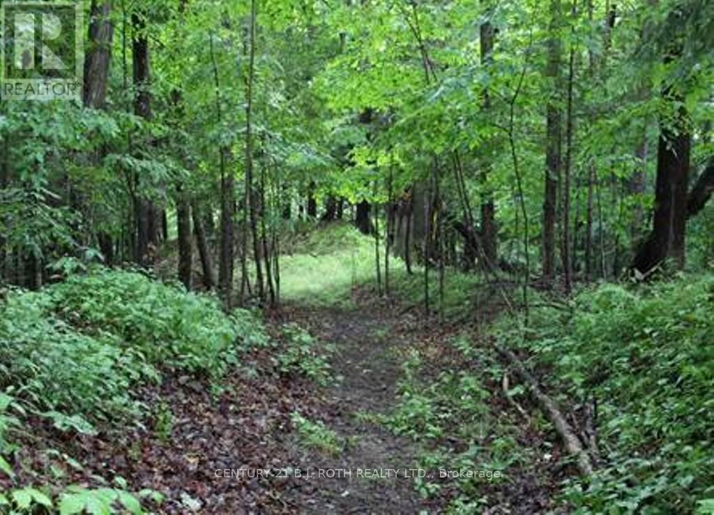 7 Fern Lane, Essa, Ontario  L0M 1T0 - Photo 5 - N13006460