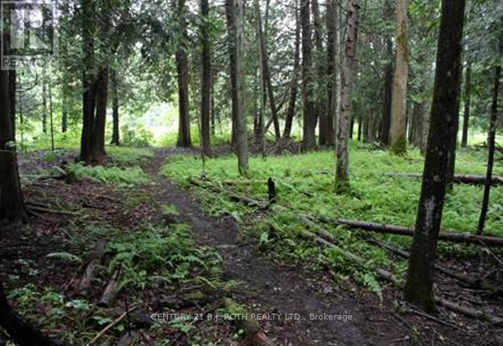 7 Fern Lane, Essa, Ontario  L0M 1T0 - Photo 6 - N13006460