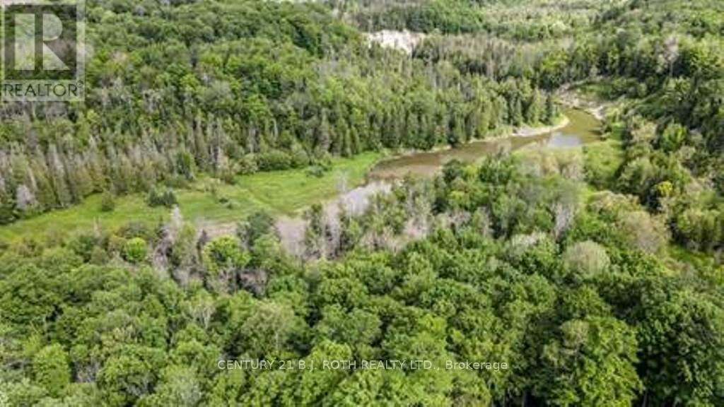 7 Fern Lane, Essa, Ontario  L0M 1T0 - Photo 8 - N13006460