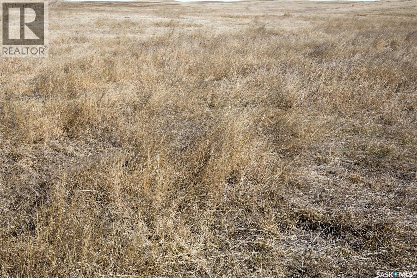 Parkbeg Land - Rm 163, Wheatlands Rm No. 163, Saskatchewan  S0H 3K0 - Photo 17 - SK032792
