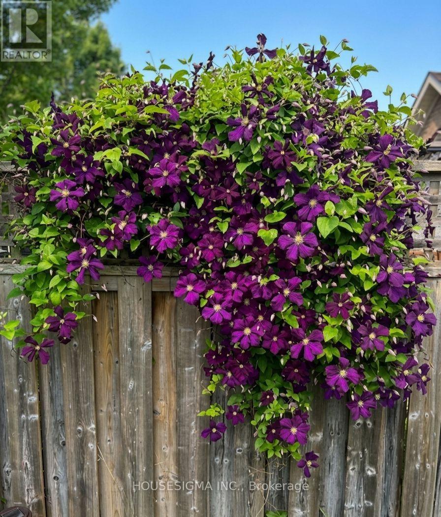 22 Highlands Crescent, Collingwood, Ontario  L9Y 5H3 - Photo 36 - S13006648