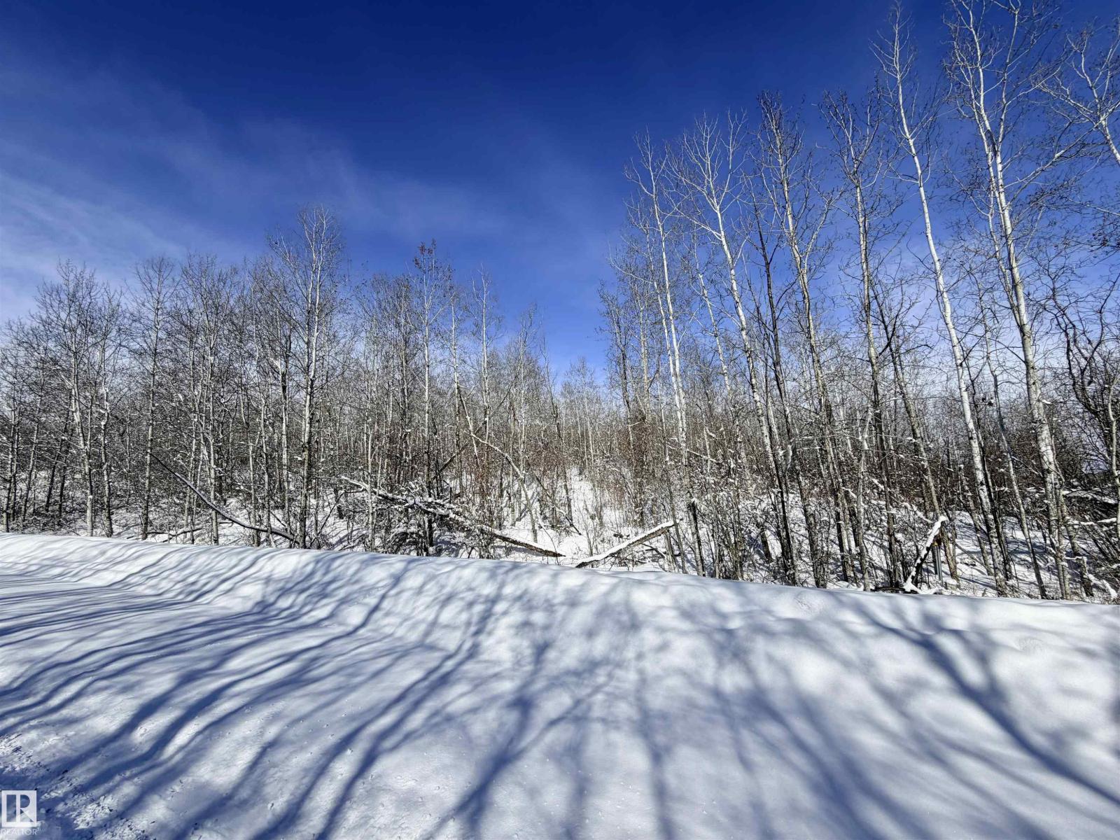 Sw 13 56 11 W4, Rural St. Paul County, Alberta  T0A 3A0 - Photo 5 - E4482562
