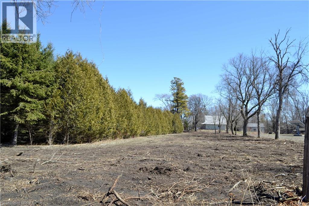 166086 New Road, Otterville, Ontario  N0E 1H0 - Photo 11 - 40820807