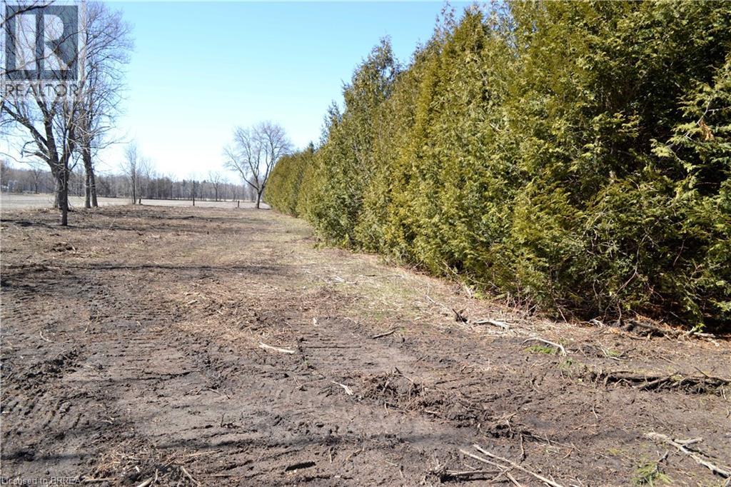 166086 New Road, Otterville, Ontario  N0E 1H0 - Photo 12 - 40820807