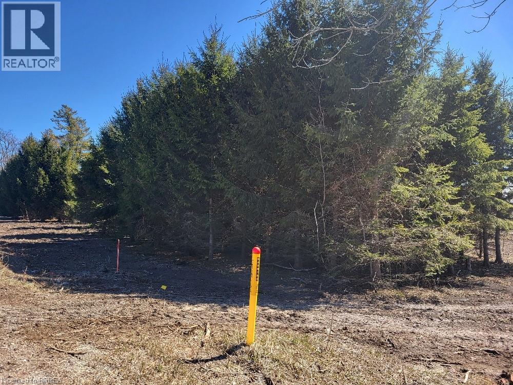 166086 New Road, Otterville, Ontario  N0E 1H0 - Photo 3 - 40820807