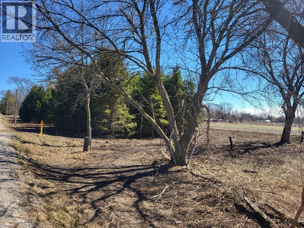 166086 New Road, Otterville, Ontario  N0E 1H0 - Photo 4 - 40820807