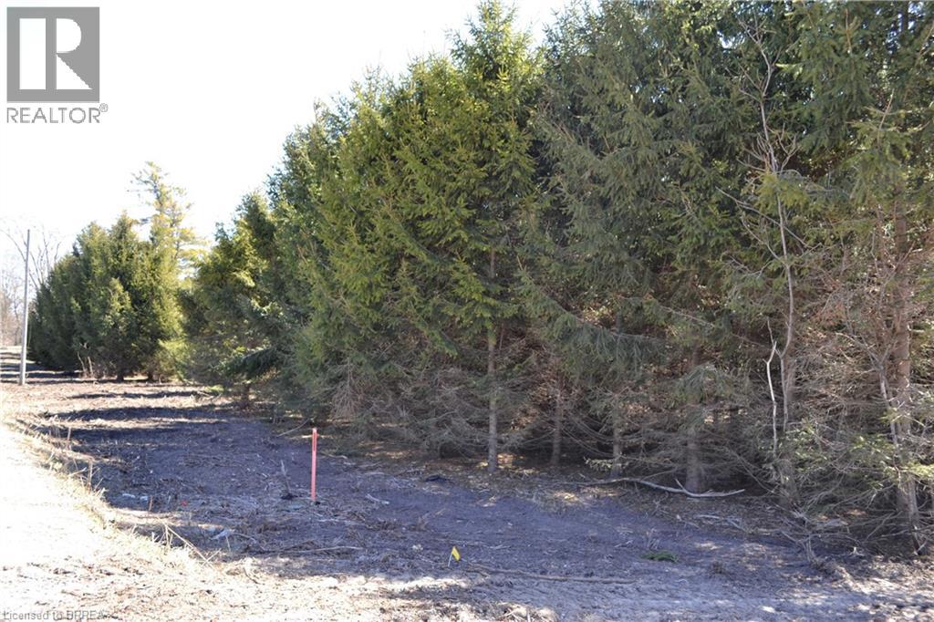 166086 New Road, Otterville, Ontario  N0E 1H0 - Photo 6 - 40820807