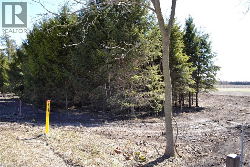 166086 New Road, Otterville, Ontario  N0E 1H0 - Photo 7 - 40820807