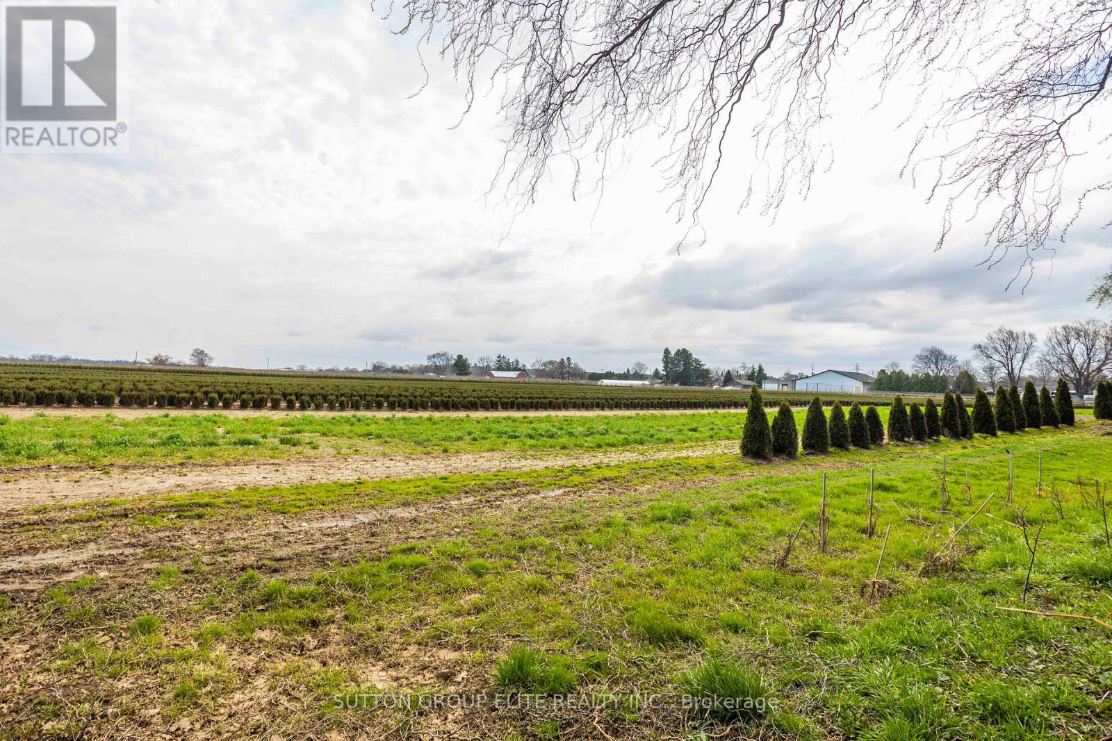 4165 Victoria Avenue, Lincoln, Ontario  L0R 2E0 - Photo 45 - X13006664