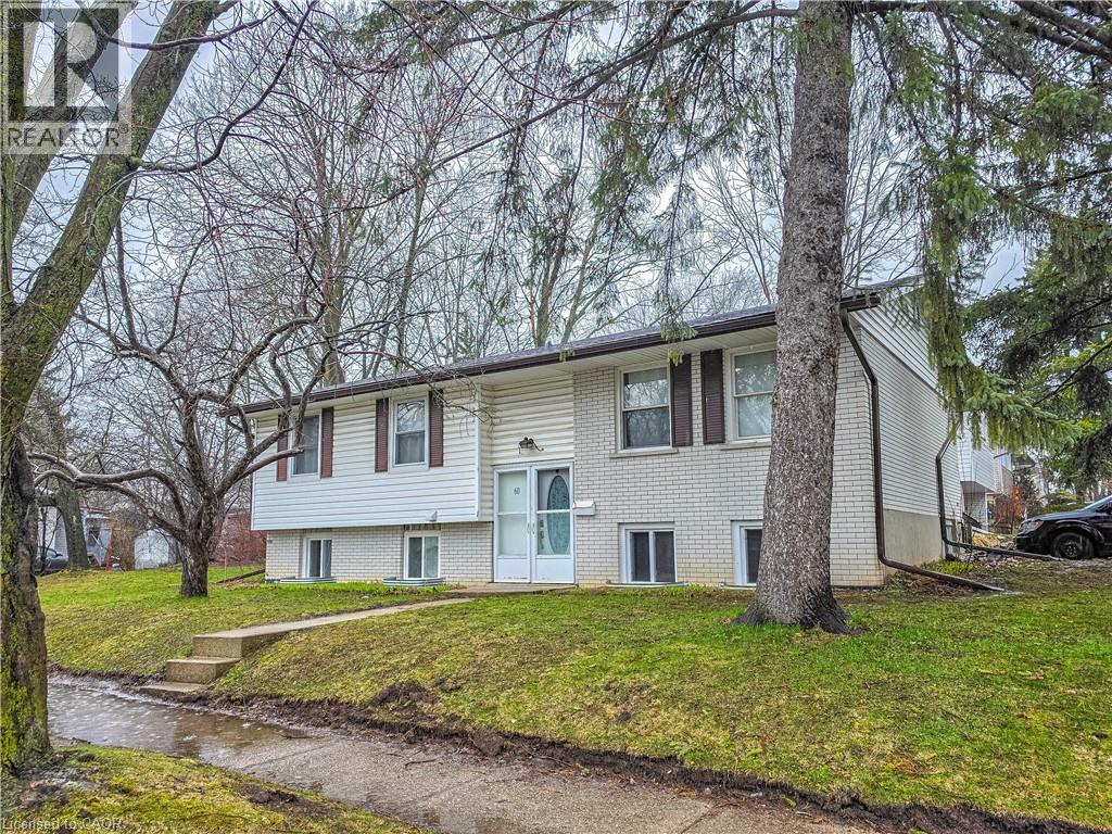 60 Austin Drive, Waterloo, Ontario  N2L 3Y4 - Photo 2 - 40817425