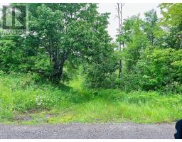 000 LASSWADE ROAD, North Kawartha, Ontario